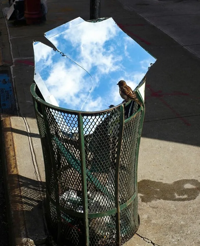 30 Photos That Seem Like A Glitch In The Universe But Some Are Actually Brilliantly Staged