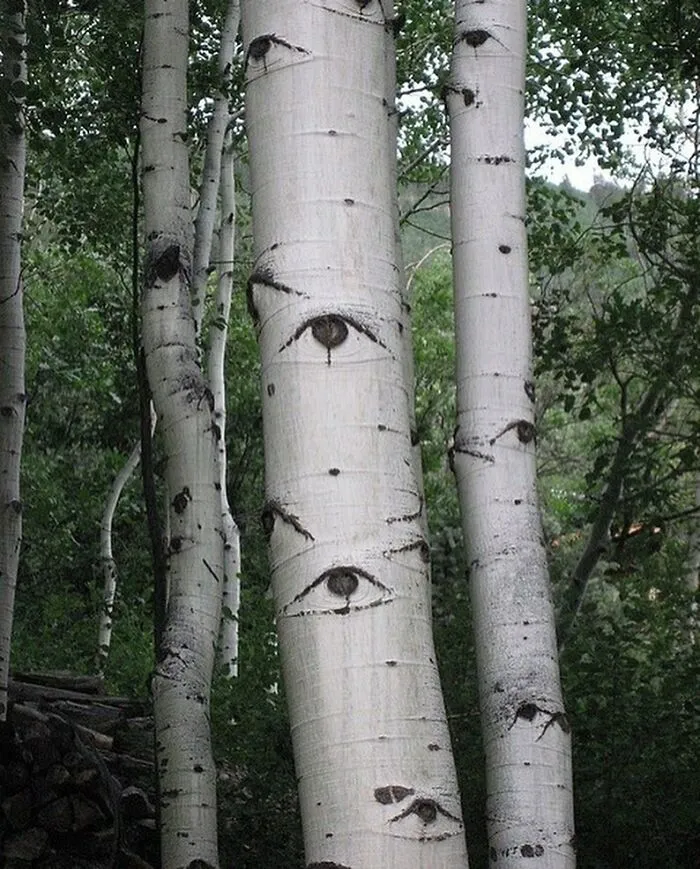 30 Photos That Seem Like A Glitch In The Universe But Some Are Actually Brilliantly Staged
