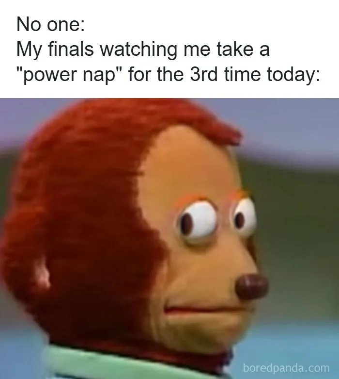 126 College Memes That Made Students Feel Seen