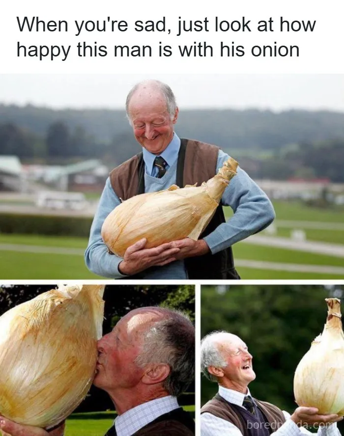Of An Onion