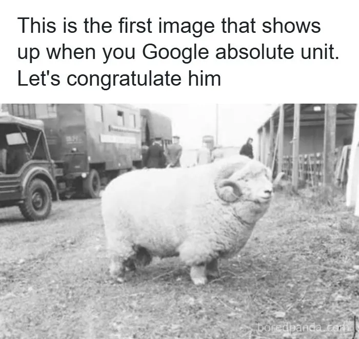 Of A Leader