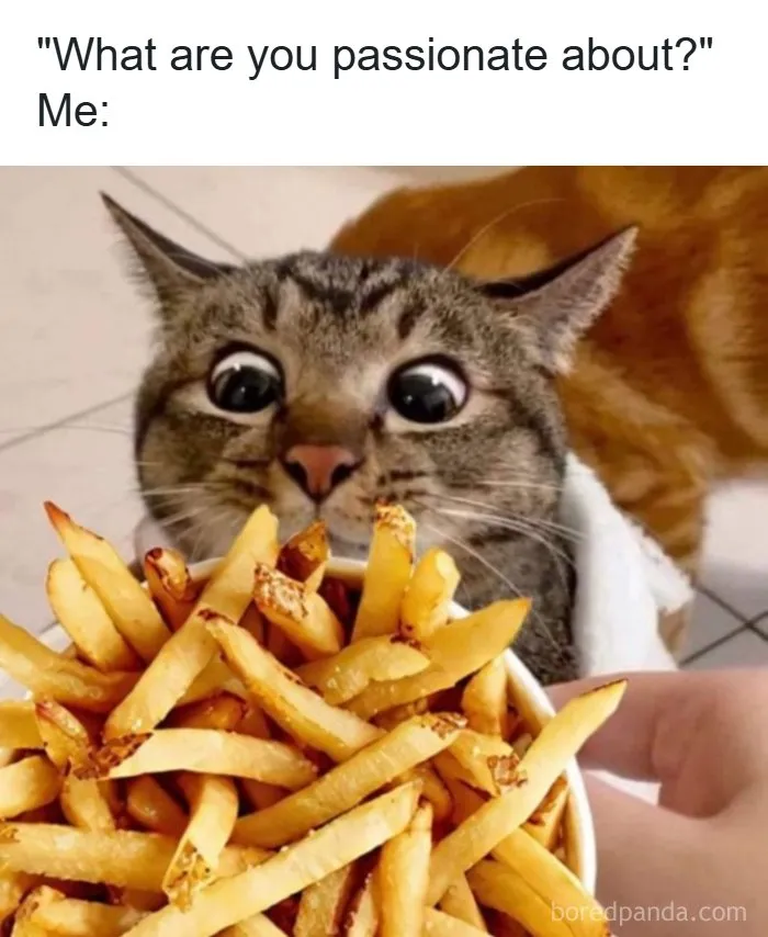 63 Hilarious And Relatable Food Memes From “Snack Clips”