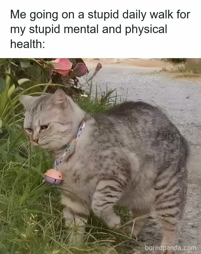 43 Funny Memes About Everything That Happens In Healthcare