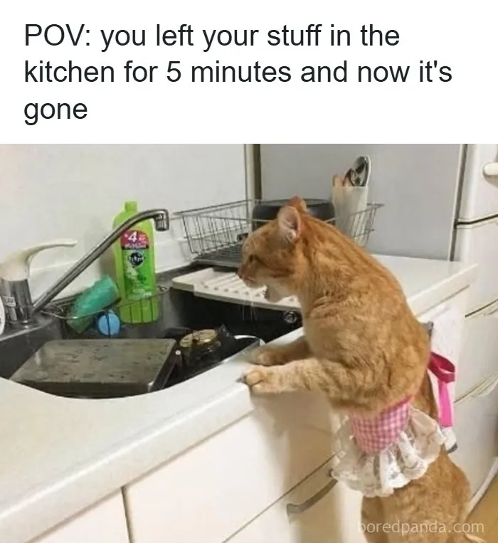 126 College Memes That Made Students Feel Seen