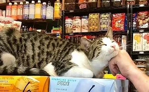 This Instagram Account Shares Fascinating Fun Facts And Real Life Stories, Here’s 20 Of Their Best Posts