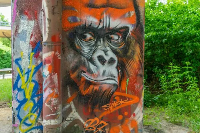 60 Striking Street Art Photos That Might Redefine What You Think Graffiti Can Be