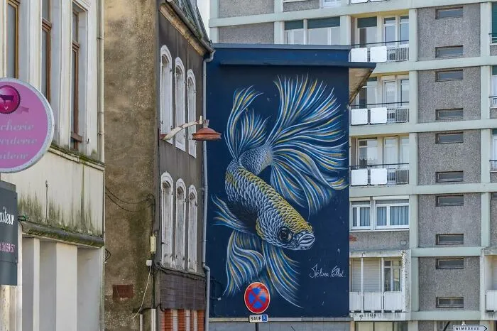 60 Striking Street Art Photos That Might Redefine What You Think Graffiti Can Be