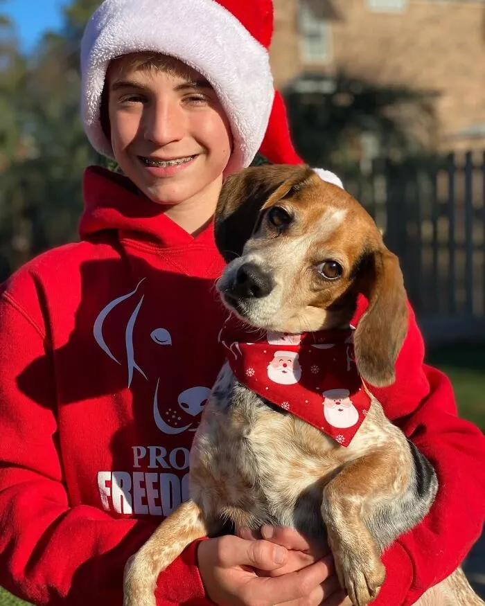 Teen With A Mission: 30 Dogs Whose Lives Were Changed By One Boy