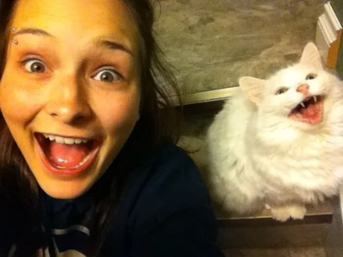 So My Friend Took This Picture With Her Cat On A Total Fluke. It Turned Out To Be The Best Thing Ever