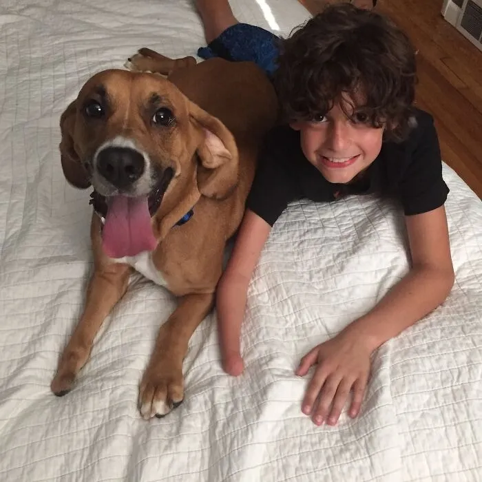 We've Been Looking For A Buddy For Our 10 Year Old Son For A Few Weeks And Yesterday We Found The Perfect Match
