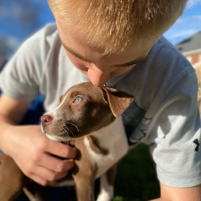 Teen With A Mission: 30 Dogs Whose Lives Were Changed By One Boy