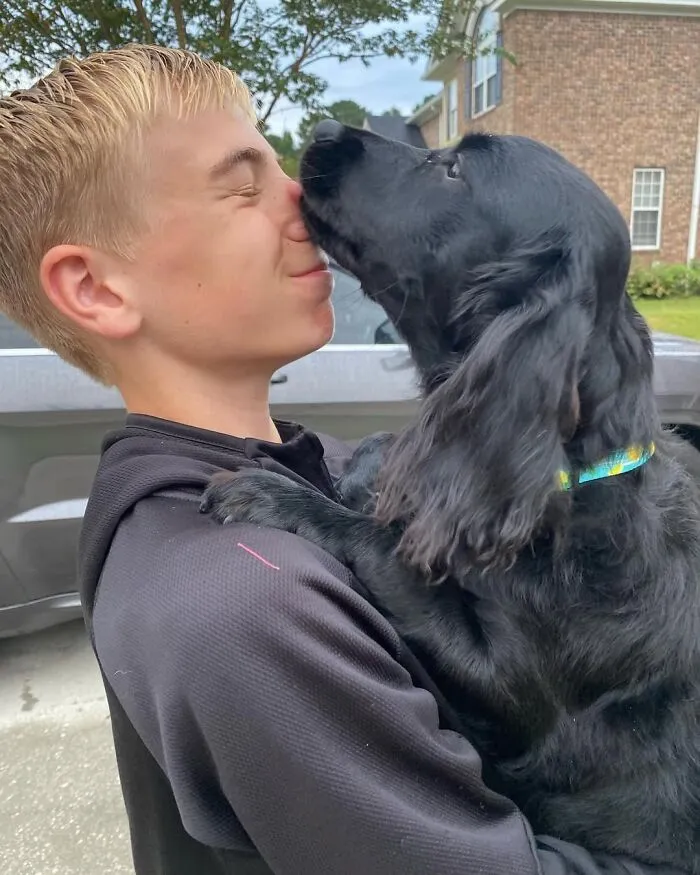Teen With A Mission: 30 Dogs Whose Lives Were Changed By One Boy