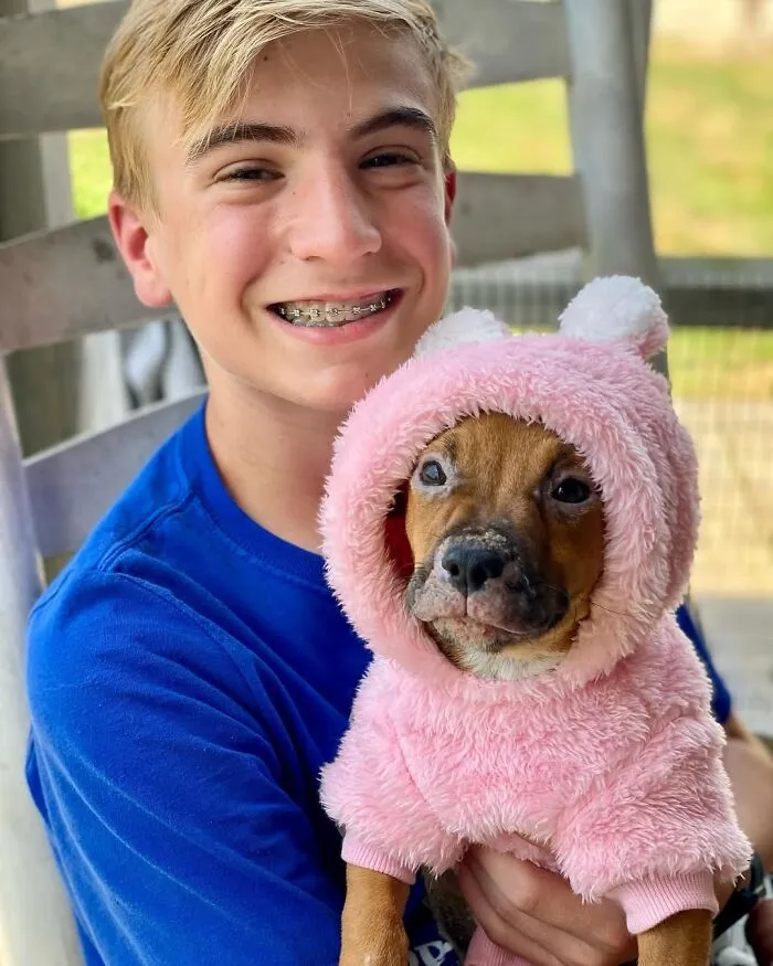 Teen With A Mission: 30 Dogs Whose Lives Were Changed By One Boy