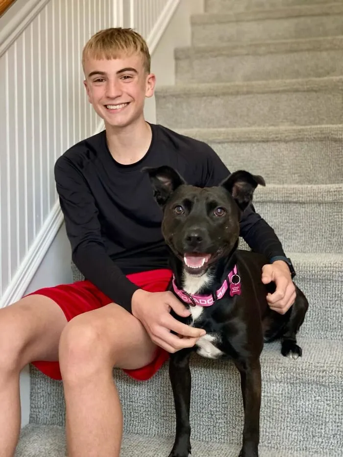Teen With A Mission: 30 Dogs Whose Lives Were Changed By One Boy