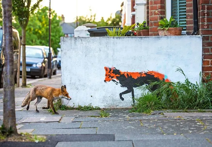 50 Jaw-Dropping Wildlife Photos From The People’s Choice Award