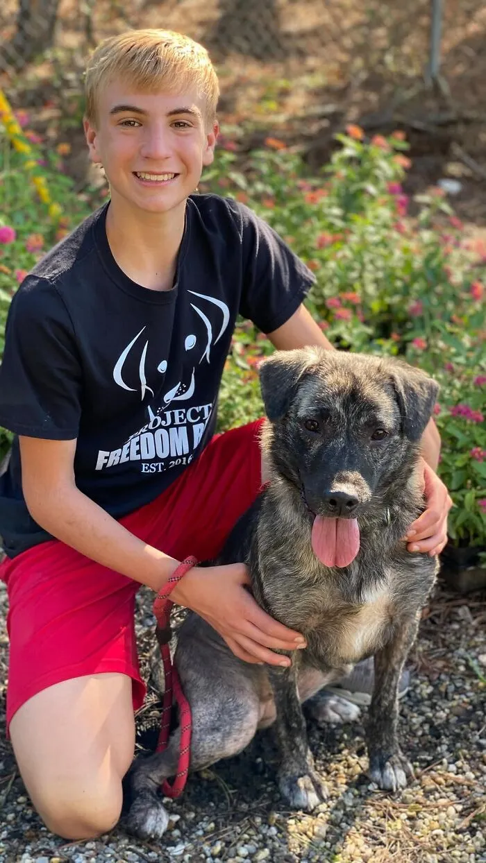Teen With A Mission: 30 Dogs Whose Lives Were Changed By One Boy