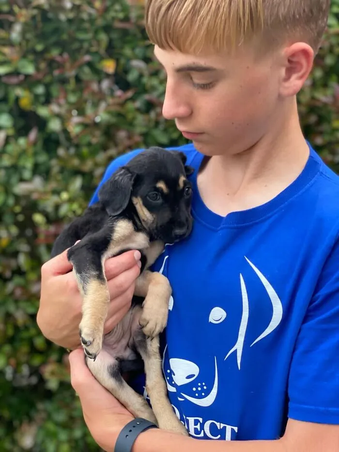 Teen With A Mission: 30 Dogs Whose Lives Were Changed By One Boy
