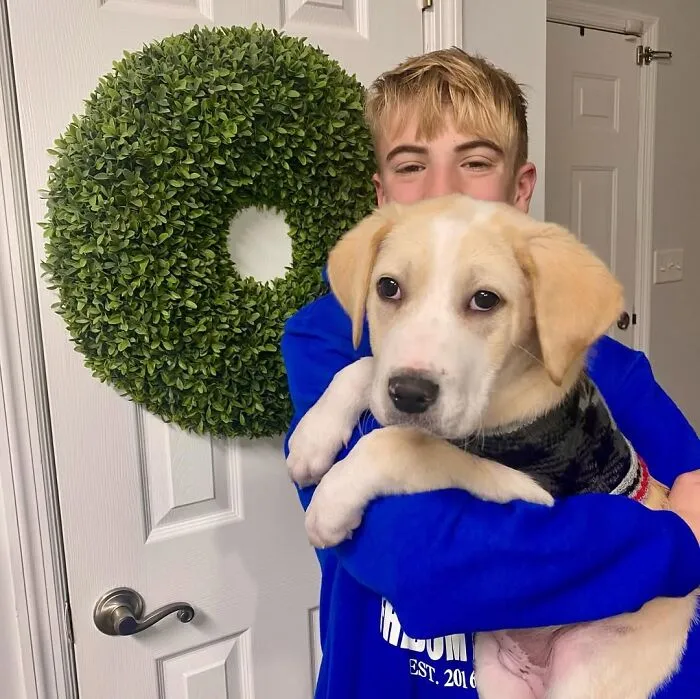 Teen With A Mission: 30 Dogs Whose Lives Were Changed By One Boy