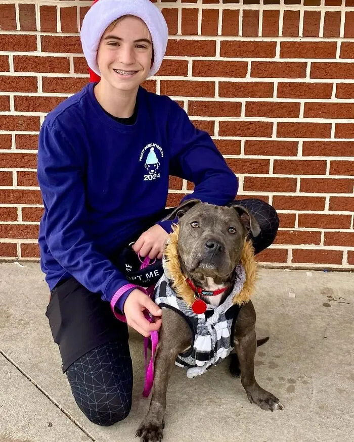 Teen With A Mission: 30 Dogs Whose Lives Were Changed By One Boy
