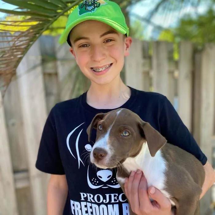 Teen With A Mission: 30 Dogs Whose Lives Were Changed By One Boy