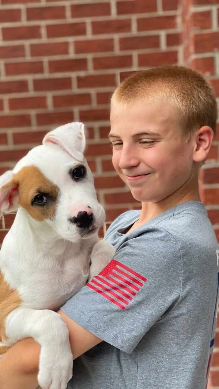 Teen With A Mission: 30 Dogs Whose Lives Were Changed By One Boy