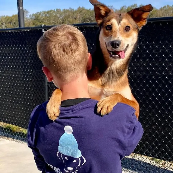 Teen With A Mission: 30 Dogs Whose Lives Were Changed By One Boy