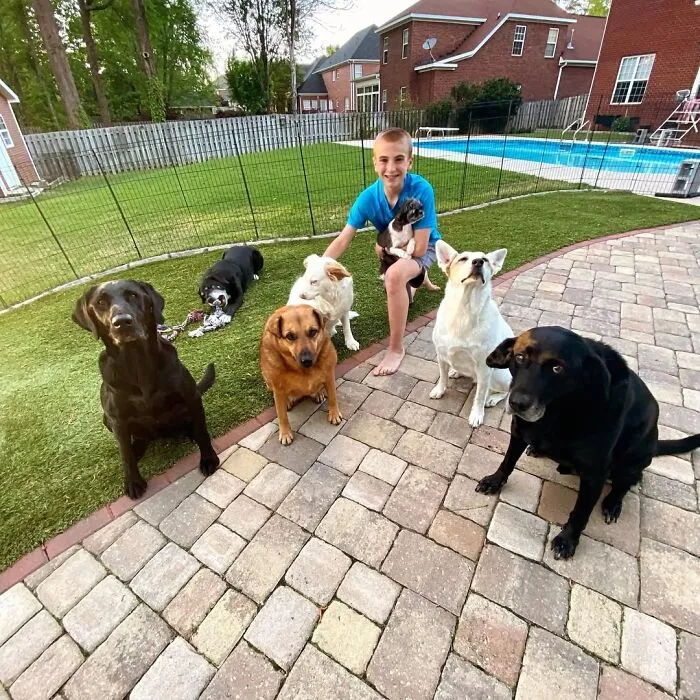 Teen With A Mission: 30 Dogs Whose Lives Were Changed By One Boy