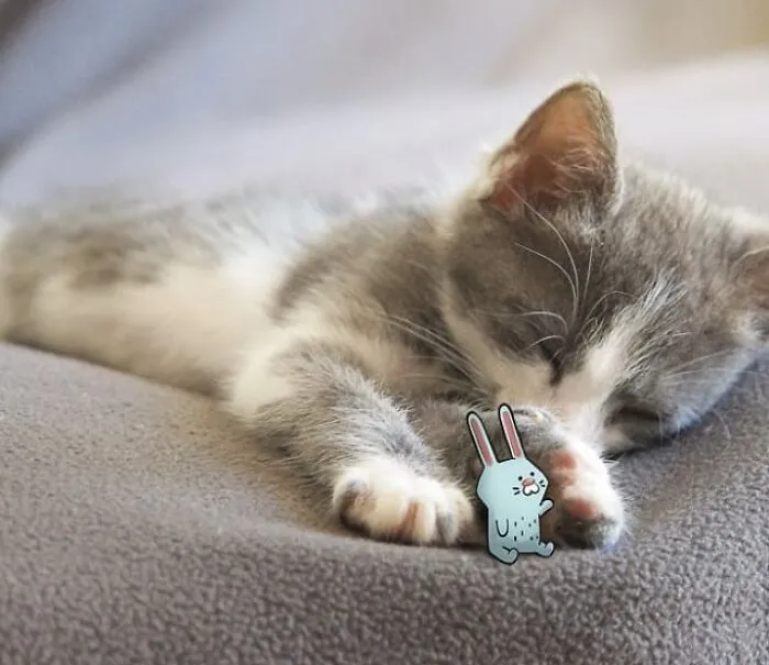 These Real-World Photos Get Tiny Doodles, And Everything Suddenly Looks Alive (77 Pics)