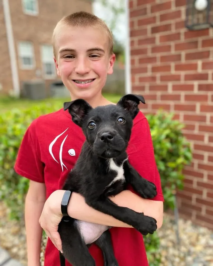 Teen With A Mission: 30 Dogs Whose Lives Were Changed By One Boy