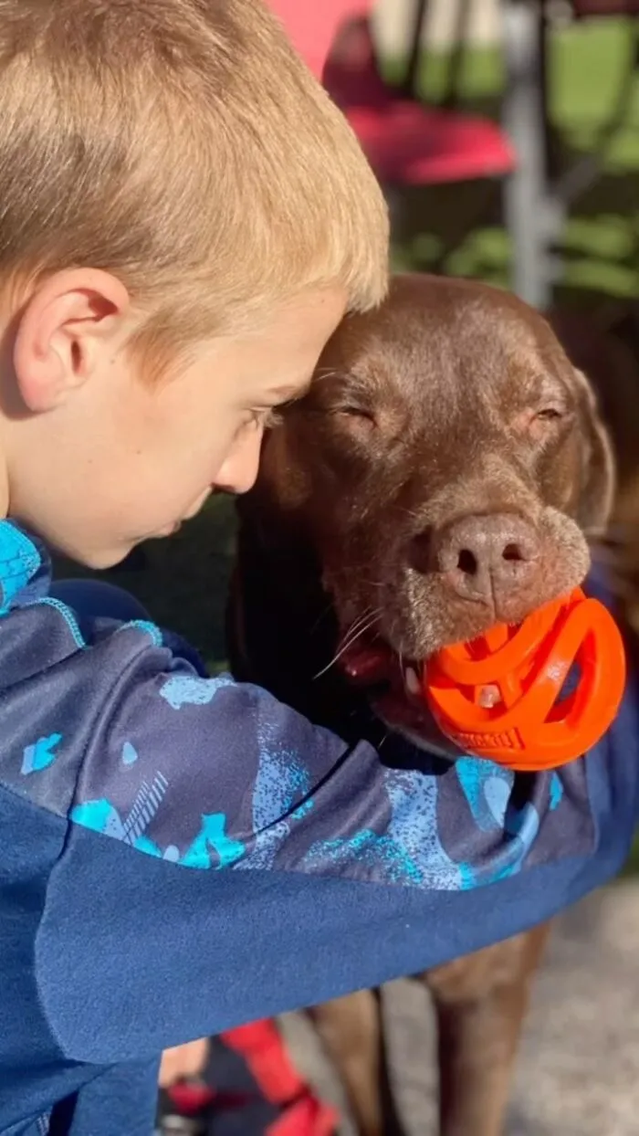 Teen With A Mission: 30 Dogs Whose Lives Were Changed By One Boy