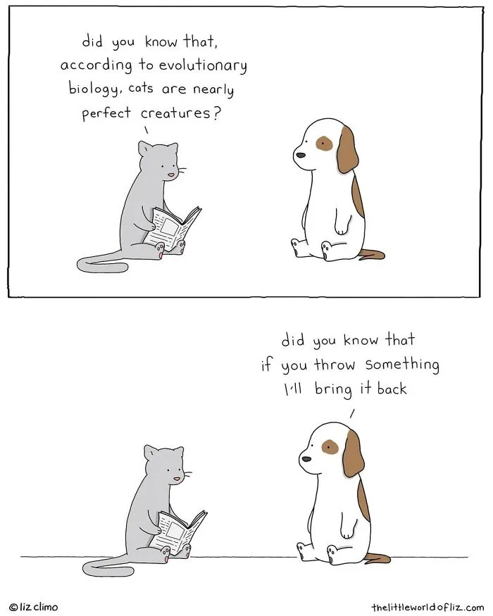“The Simpsons” Animator Illustrates Humorous Everyday Moments Of Talking Animals (38 New Comics)
