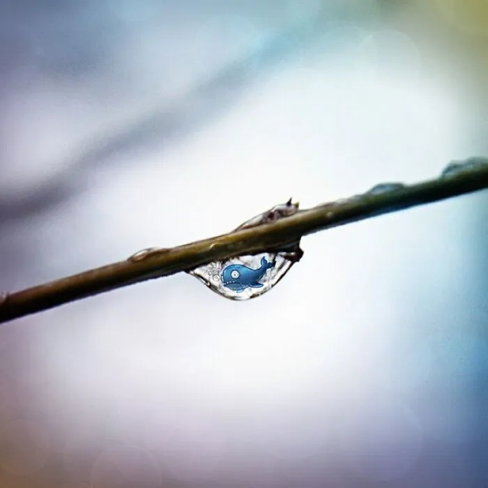 These Real-World Photos Get Tiny Doodles, And Everything Suddenly Looks Alive (77 Pics)