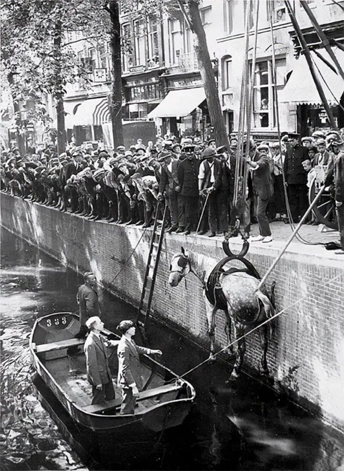 48 Interesting Old Photos For Everyone Who Loves History (New Pics)