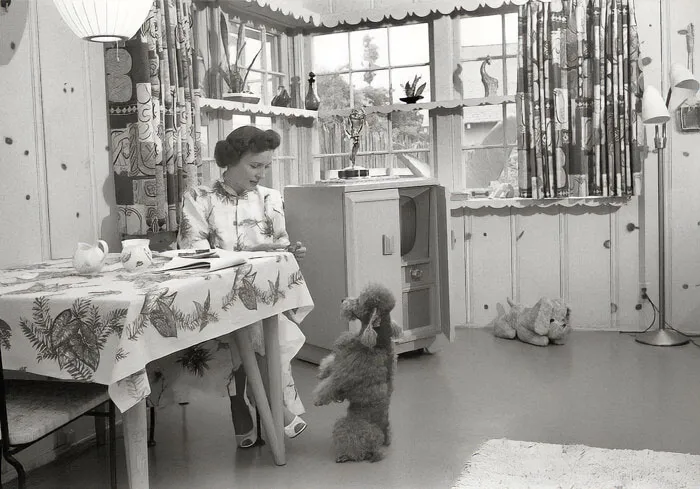 48 Interesting Old Photos For Everyone Who Loves History (New Pics)
