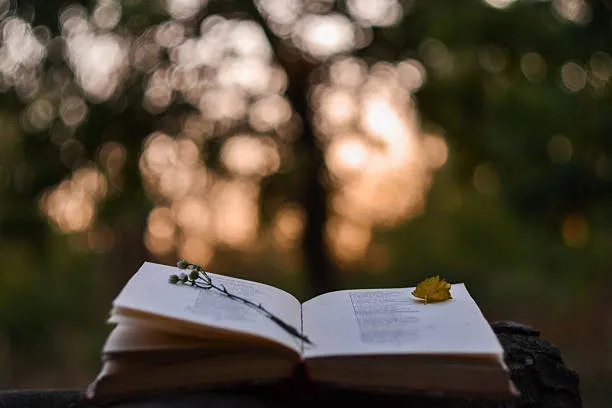 I Spent The Past Week Writing Down Some Poems. Here Are The Results!