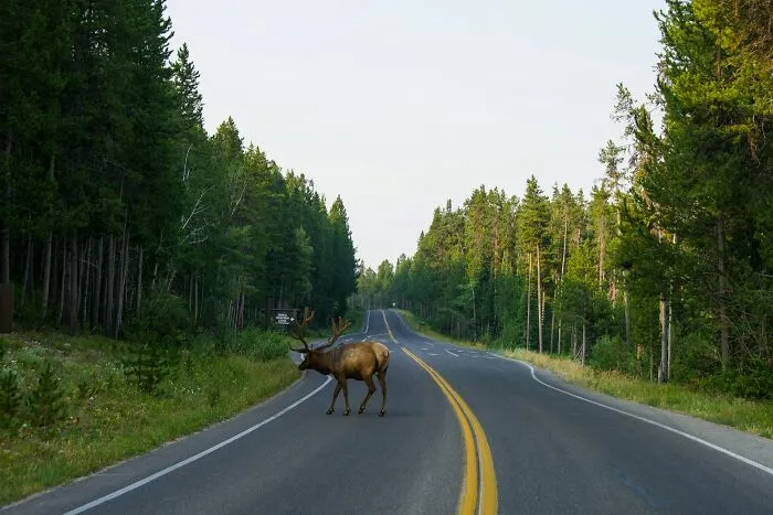 69 Bizarre Things People Witnessed With Their Own Eyes That Had No Logical Explanation