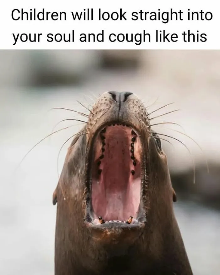 Seal with mouth wide open and text about children looking into your soul and coughing, humorous meme to lighten your mood.