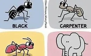 If Everything Is Annoying You Right Now, These 50 Memes Might Help Lighten Your Mood