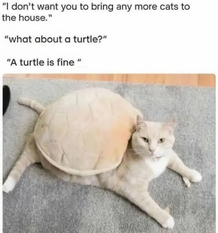 If Everything Is Annoying You Right Now, These 50 Memes Might Help Lighten Your Mood