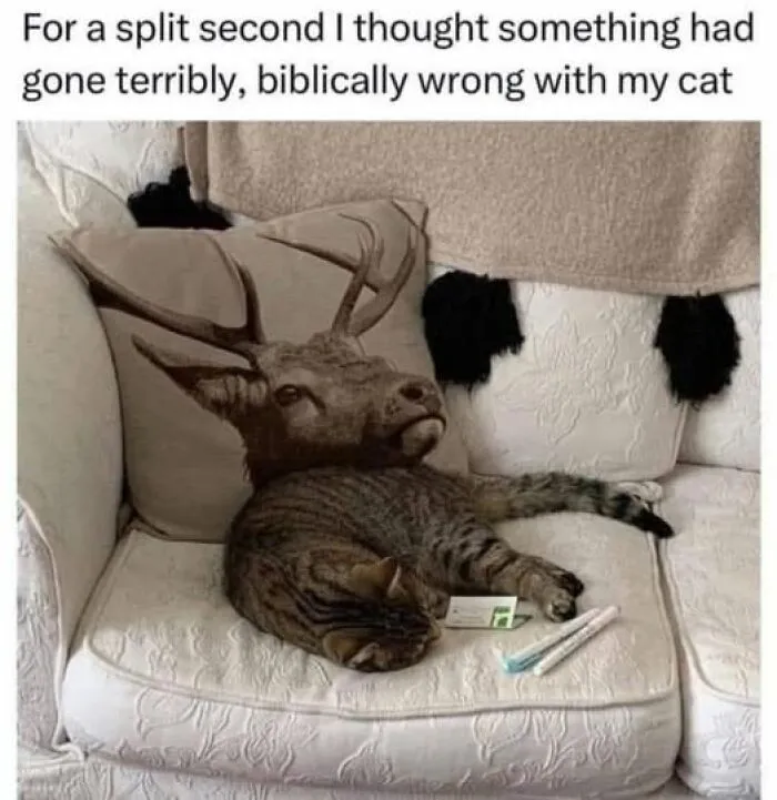 If Everything Is Annoying You Right Now, These 50 Memes Might Help Lighten Your Mood