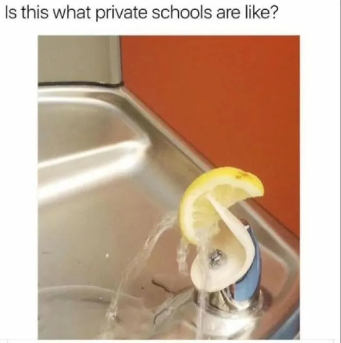 Water fountain with a lemon wedge on the spout, humorously questioning private schools in a mood-lightening meme.