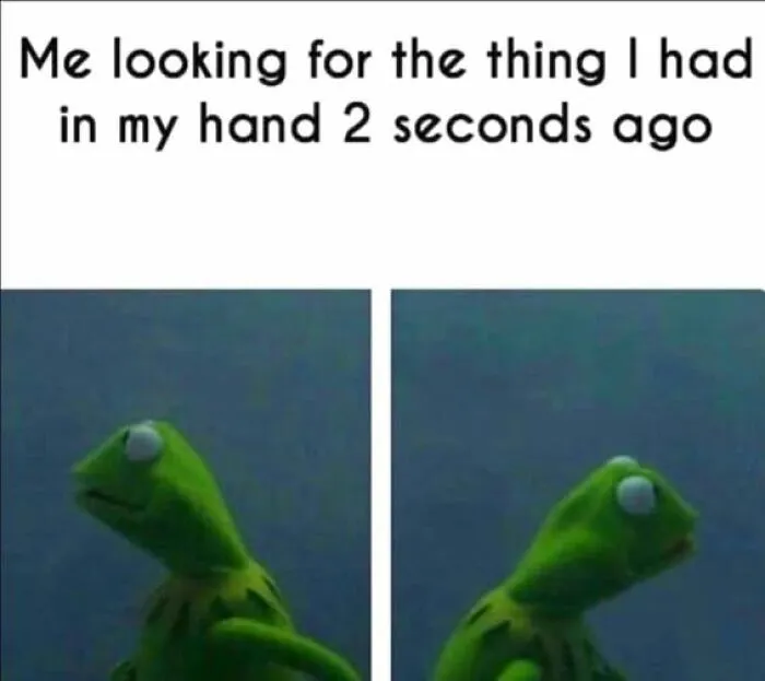 Meme of Kermit the Frog looking confused, illustrating the feeling when everything is annoying right now.