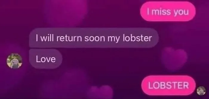 Text message exchange with playful lobster reference, illustrating a lighthearted meme to help lighten your mood.