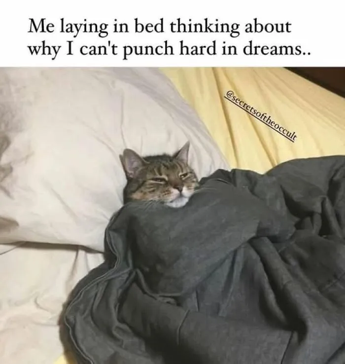Cat lying in bed under a blanket with a tired expression, reflecting the mood of everything annoying you right now.