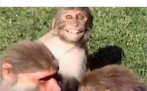 If Everything Is Annoying You Right Now, These 50 Memes Might Help Lighten Your Mood