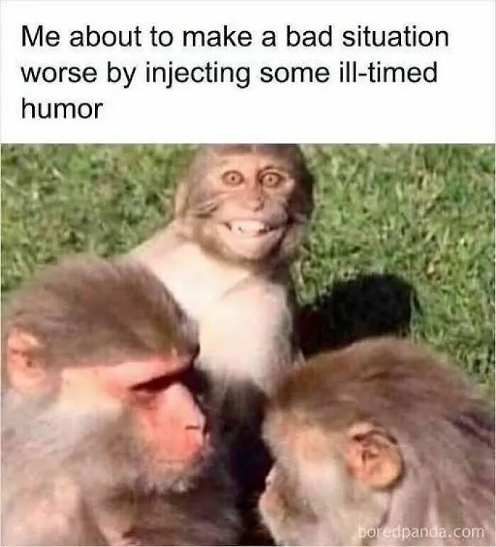 Lighthearted-Humor-Funny-Memes