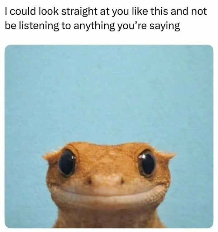 Smiling lizard looking directly ahead with caption about not listening, illustrating memes to lighten your mood.