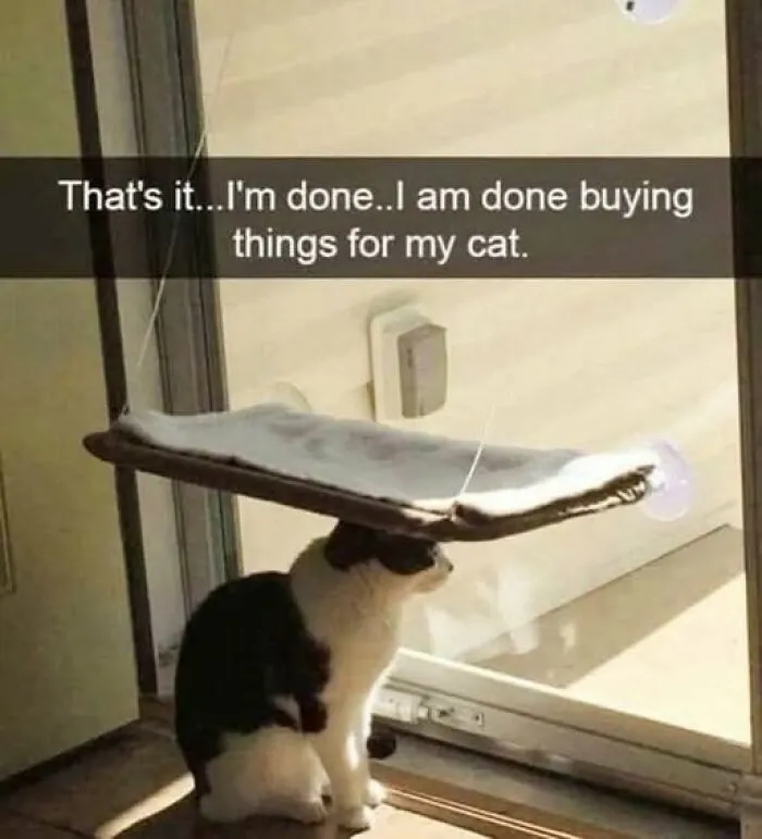 Black and white cat sitting under a cat hammock attached to a glass door, with a humorous meme about buying cat items.