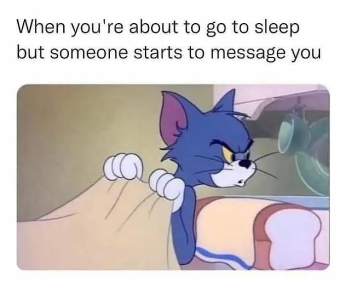 Tom cat looking annoyed in bed, reacting to someone messaging him when he's about to sleep, memes to lighten mood.