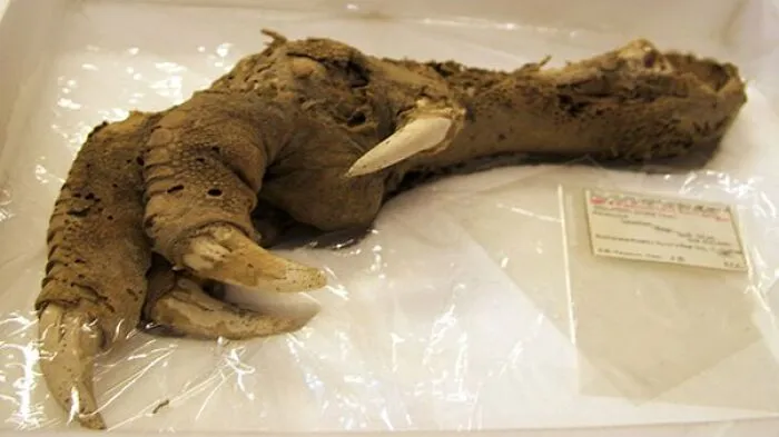 "The First Leper": 25 Times Archaeologists Dug Up Something Straight Out Of A Nightmare